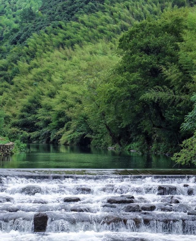 莫干山