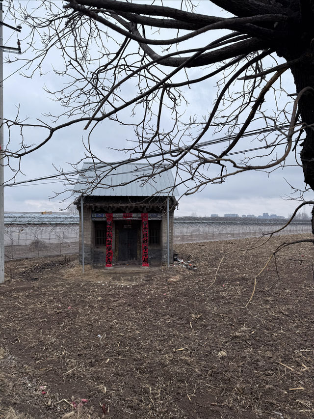 路邊嘅古建築｜兩水村雙龍廟