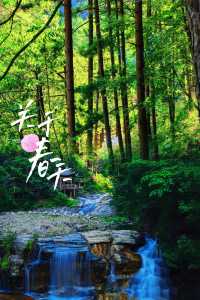 「秦嶺心臟🫀」邂逅佛坪熊貓谷