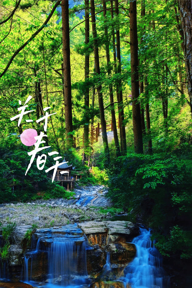 「秦嶺心臟🫀」邂逅佛坪熊貓谷 「秦嶺心臟🫀」邂逅佛坪熊貓谷