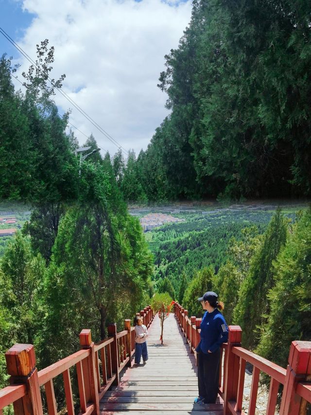 孤山風景區遊玩攻略！