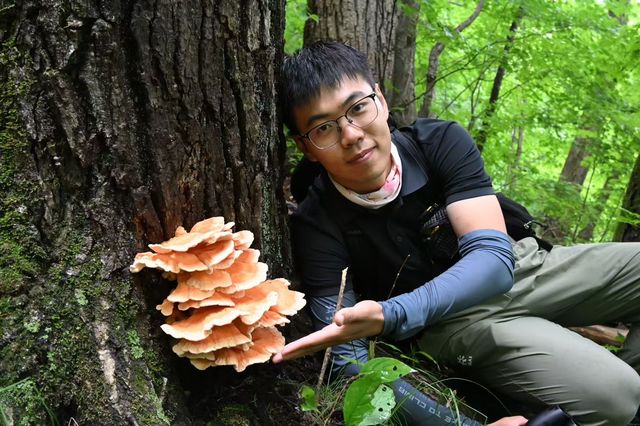 打開鏡頭,蘑菇登場 打開鏡頭,蘑菇登場