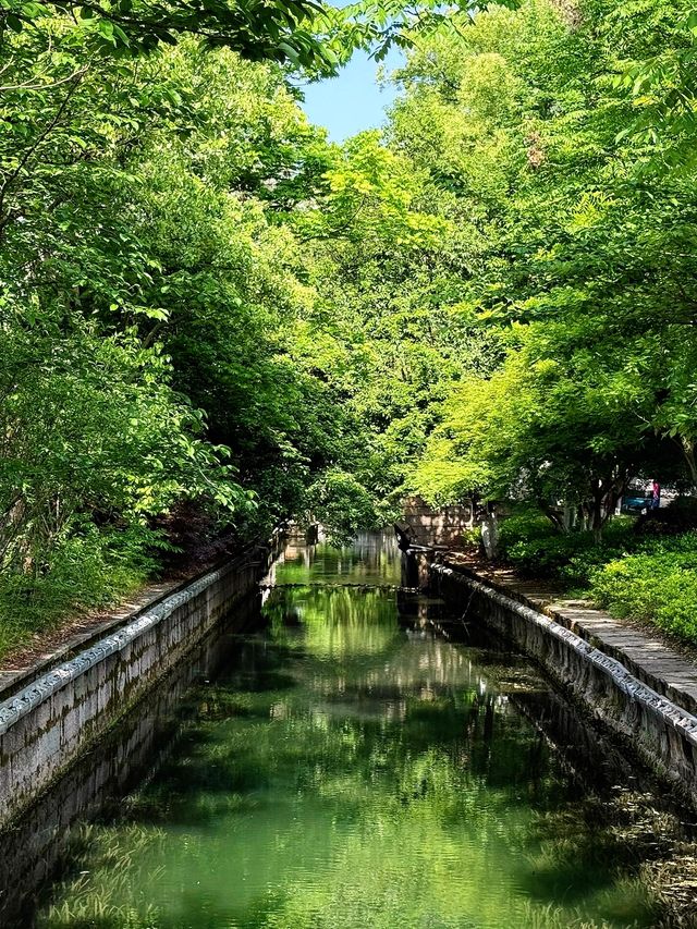雨落江南岸，我在紹興的三日醉夢