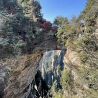 【中国 湖南省】世界遺産🌏 中国初の国家森林公園「張家界国家森林公園」✨🌲