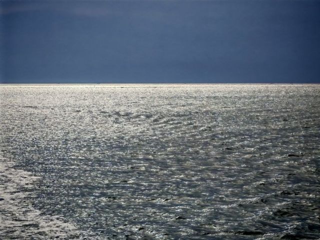 長島遛娃天花板津岸民宿承包整個海島的快樂！