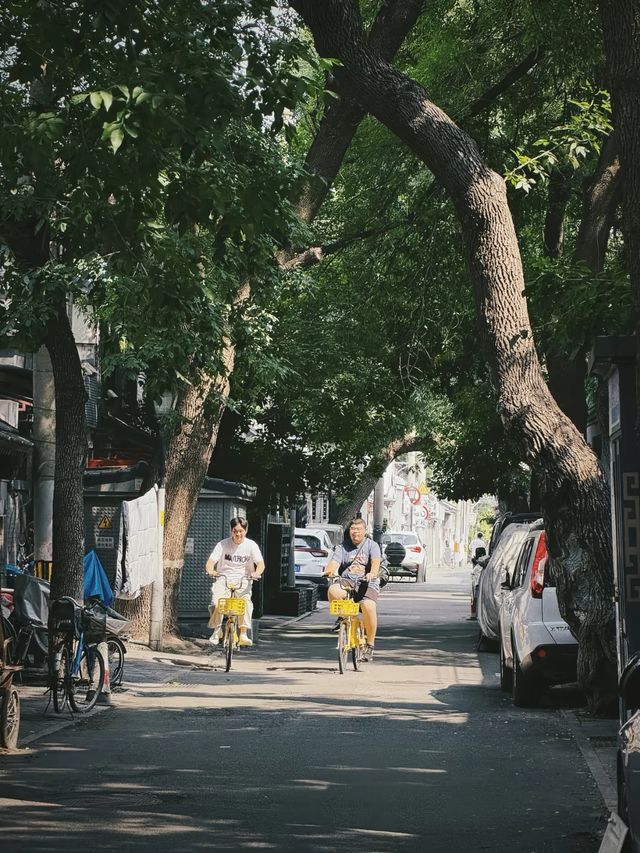 北鑼鼓巷比起南鑼鼓巷的商業化我更喜歡北鑼鼓巷的原汁原味