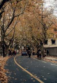 沈陽秋日私藏路線:將北國的溫柔融入旅途