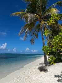 Wonderful Stay at Kuredu Island: A Review