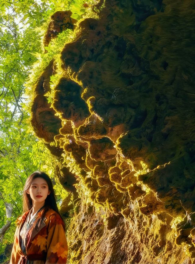 江西這個野生天坑絕了！免費洞穴探險大片隨便拍！