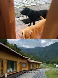 瀏陽五號山谷避坑&種草全攻略！住對房才是真·嚮往的生活