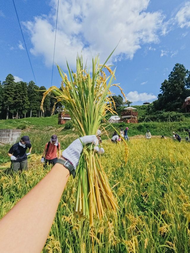闖入宮崎駿的童話農場!千葉10萬坪自然教室超全攻略 闖入宮崎駿的童話農場!千葉10萬坪自然教室超全攻略