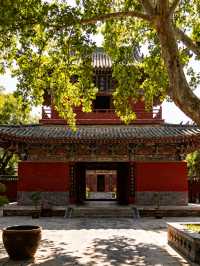 許昌4日遊 | 曹魏古城與鄢陵花博園經典組合・全人群適配攻略
