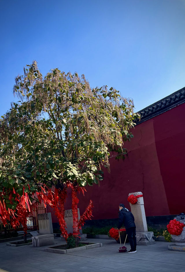 瀋陽故宮紅牆！拍不出的美才是限量版