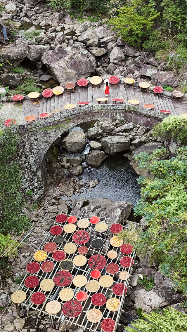 四明山曬秋封神啦