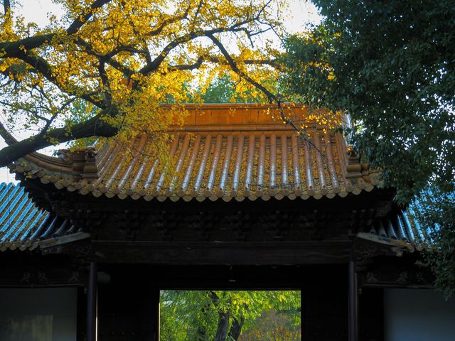 你鏡頭裡的南京秋天，還差這些地方