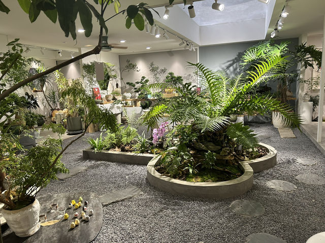 🌿 深圳花卉市場｜與植物來場浪漫的近距離約會 🌸