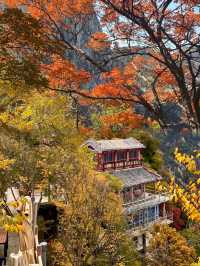 秋遊華山就選北峰線 索道直達的絕美秋景！