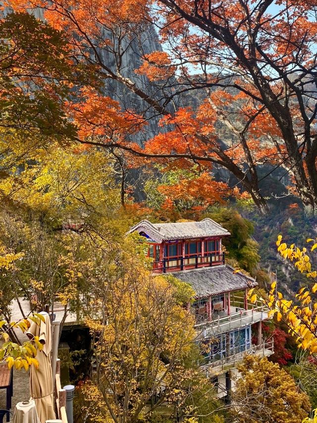 秋遊華山就選北峰線 索道直達的絕美秋景！