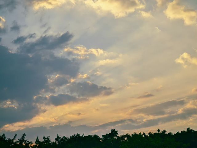 深圳中山公園｜陰雨天也能拍出超絕氛圍感！