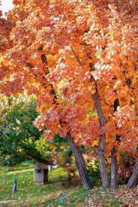 北京周邊這處神仙秘境我不允許還有人不知道！