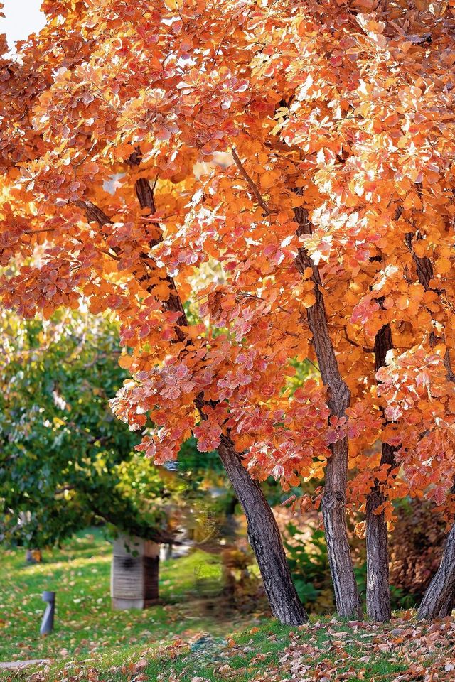 北京周邊這處神仙秘境我不允許還有人不知道！