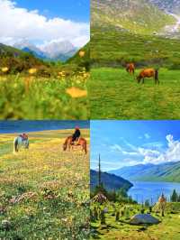 來木格措感受聖湖純淨與雪山巍峨的完美融合