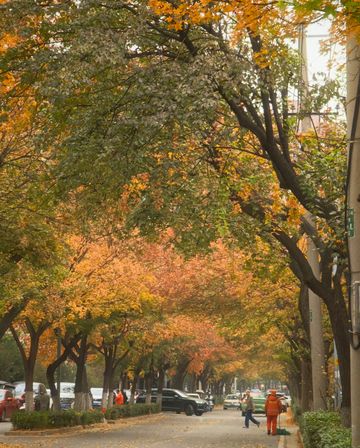 還得是西安的小香港啊!紡正街 還得是西安的小香港啊!紡正街