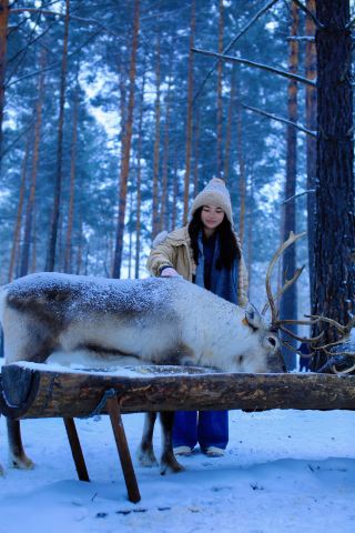 Mohe Check-in Guide: Posing with Reindeer