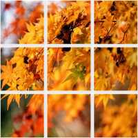 悉尼近郊絕美秘境封神了！