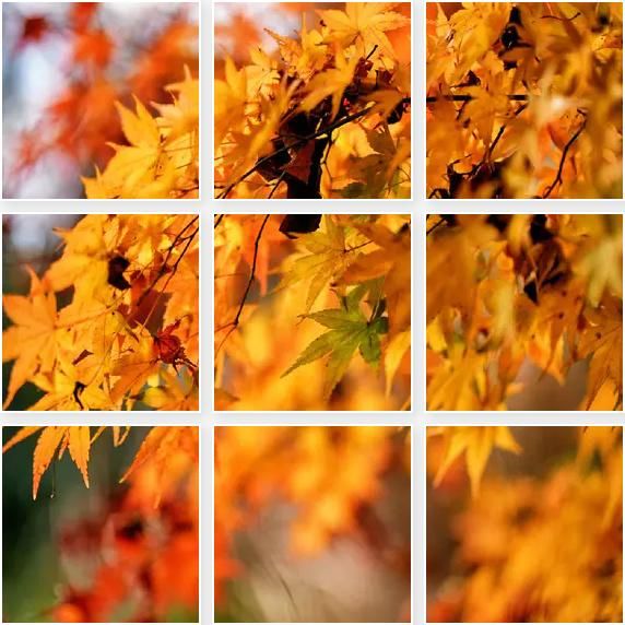 悉尼近郊絕美秘境封神了！