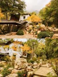 懸空寺金毯秘徑，千年銀杏正黃時！大慈巖銀杏節最全遊玩指南