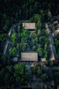 登封最佳銀杏拍攝地