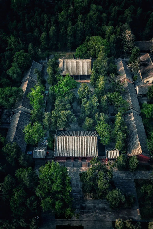 登封最佳銀杏拍攝地