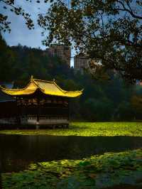 景德鎮剛回來,唯一沒踩雷超出預期的景點