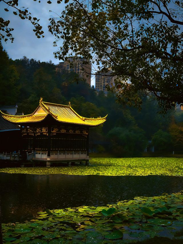 景德鎮剛回來,唯一沒踩雷超出預期的景點 景德鎮剛回來,唯一沒踩雷超出預期的景點
