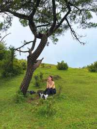 不必遠赴新疆！廣東八排山藏著“小阿勒泰”