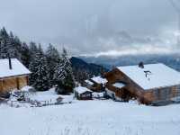 瑞士瑞吉山峰 很多來過瑞士的朋友都知道,瑞士對外開放的山峰有很多!今天給大家介紹一個在盧塞恩的山峰之