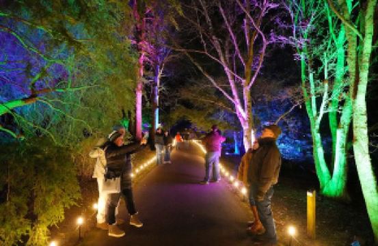 ドーズ植物園の冬のワンダーランド散策イベント
