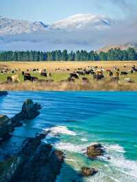 純淨星球終極體驗