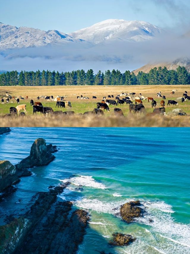 純淨星球終極體驗