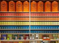 Tea Time at Shanghai Hongqiao Airport ☕🛫