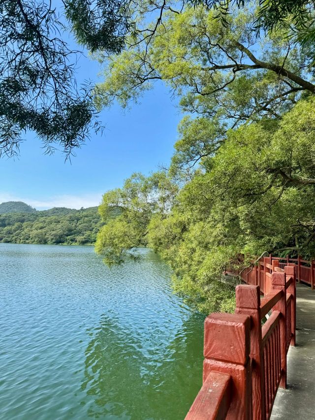 江門圭峰山|綠湖如碧玉嵌翠嶺 環湖暢遊醉氧吧 江門圭峰山|綠湖如碧玉嵌翠嶺 環湖暢遊醉氧吧