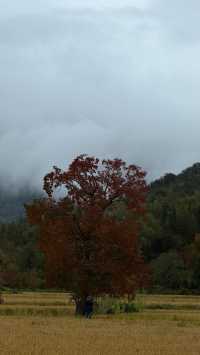 徽州古城秋日漫步