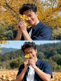 帽峰秋語：在金色秘境治癒心靈