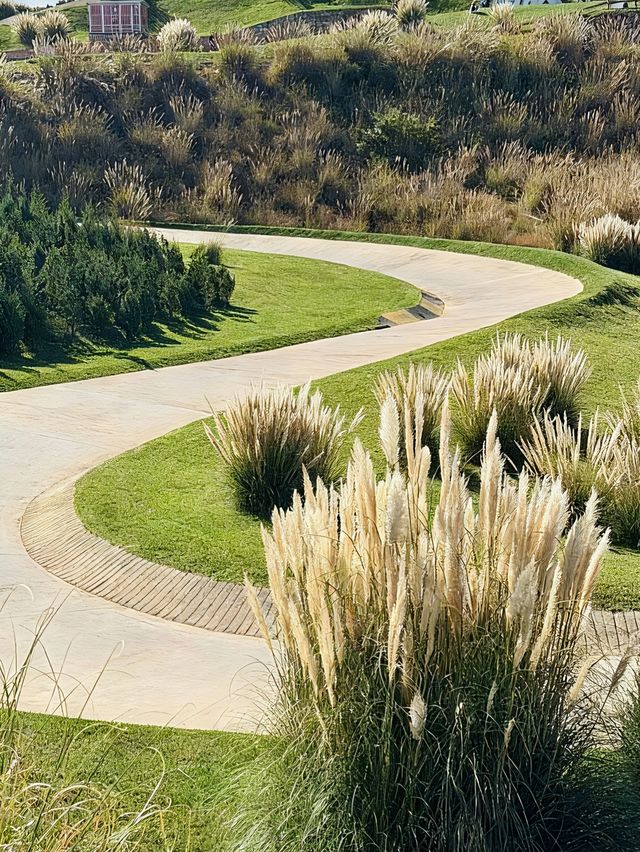 治癒系草原打卡地