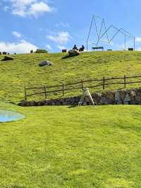 治癒系草原打卡地