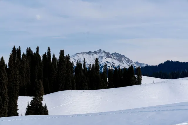 新疆伊犁的冬天,從瓊庫什台到庫爾德寧 新疆伊犁的冬天,從瓊庫什台到庫爾德寧