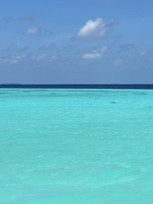 藍天碧海的馬代天堂,這裡不僅有絕美的海島風光,更有讓人沉醉的人文故事和美食體驗~ 行程亮點 藍天碧海的馬代天堂,這裡不僅有絕美的海島風光,更有讓人沉醉的人文故事和美食體驗~ 行程亮點