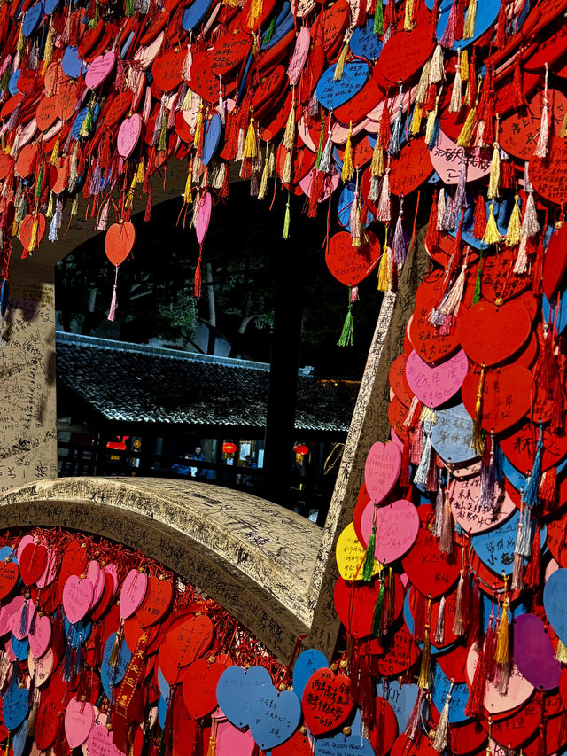 江南水鄉夜景TOP1