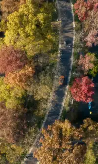 暮秋風起染金陵 我拍到一整個南京的秋天